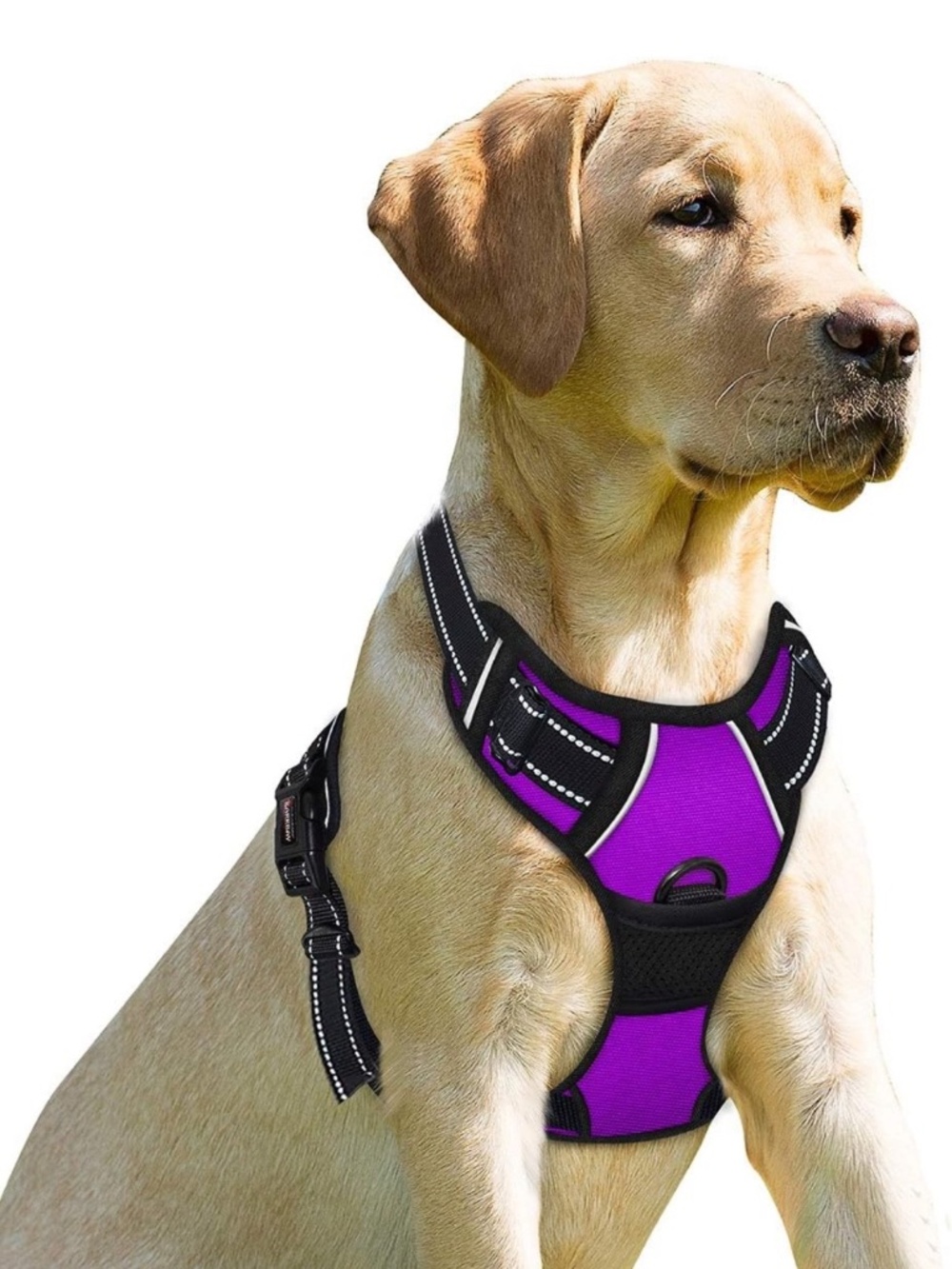 Barkbay No Pull Dog Harness for Dog Vest Reflective Padded Mesh (Medium)...